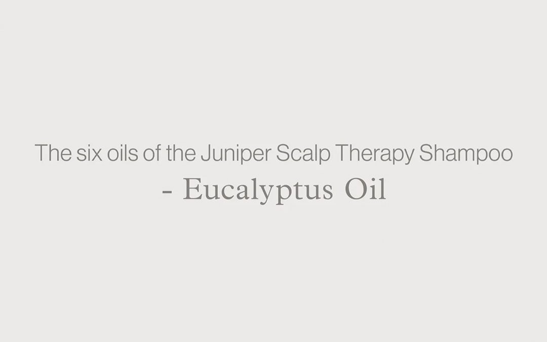 Juniper Scalp Therapy Shampoo – EUCALYPTUS OIL
