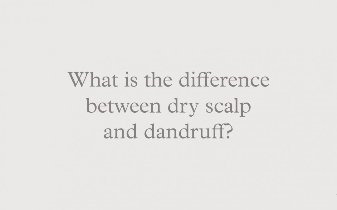 Blog Banner: What is the difference between a dry scalp and dandruff?