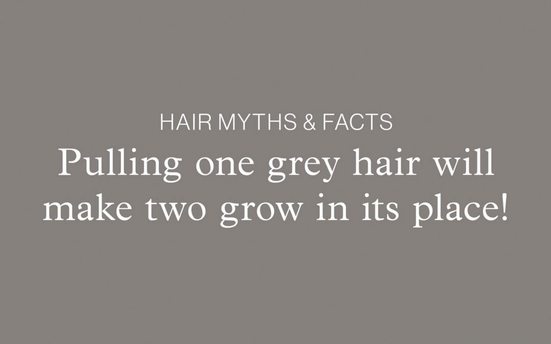 Blog Image: Hair Myths & Facts - Pulling one grey hair will make two grow in its place!