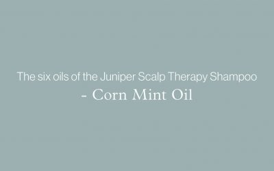 The six oils of the Juniper Scalp Therapy Shampoo – CORN MINT OIL