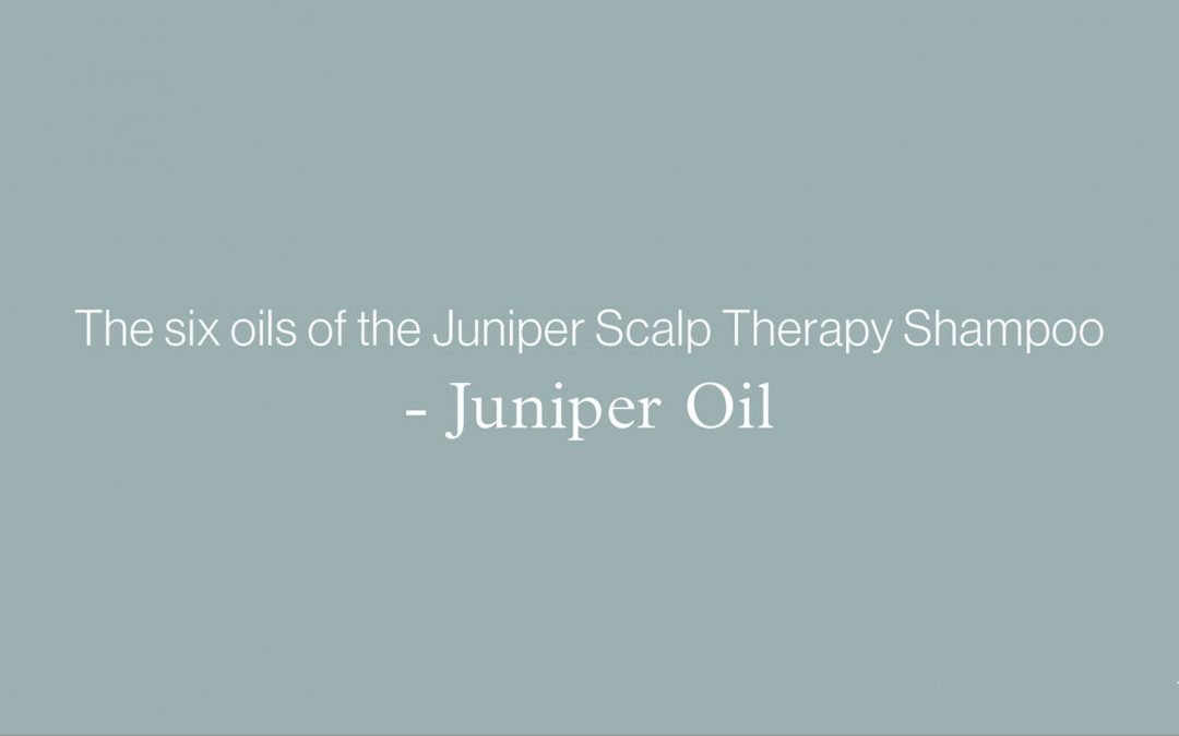 Blog Banner: The six oils of the Juniper Scalp Therapy Shampoo - JUNIPER OIL