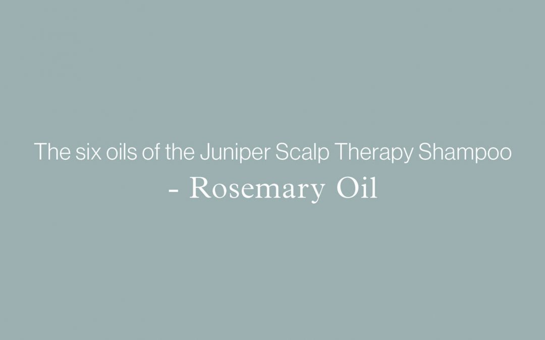 Blog Banner: The six oils of the Juniper Scalp Therapy Shampoo - ROSEMARY OIL