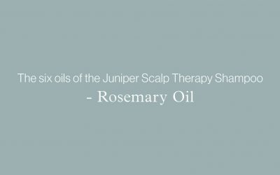 The six oils of the Juniper Scalp Therapy Shampoo – ROSEMARY OIL