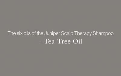 The six oils of the Juniper Scalp Therapy Shampoo – TEA TREE OIL