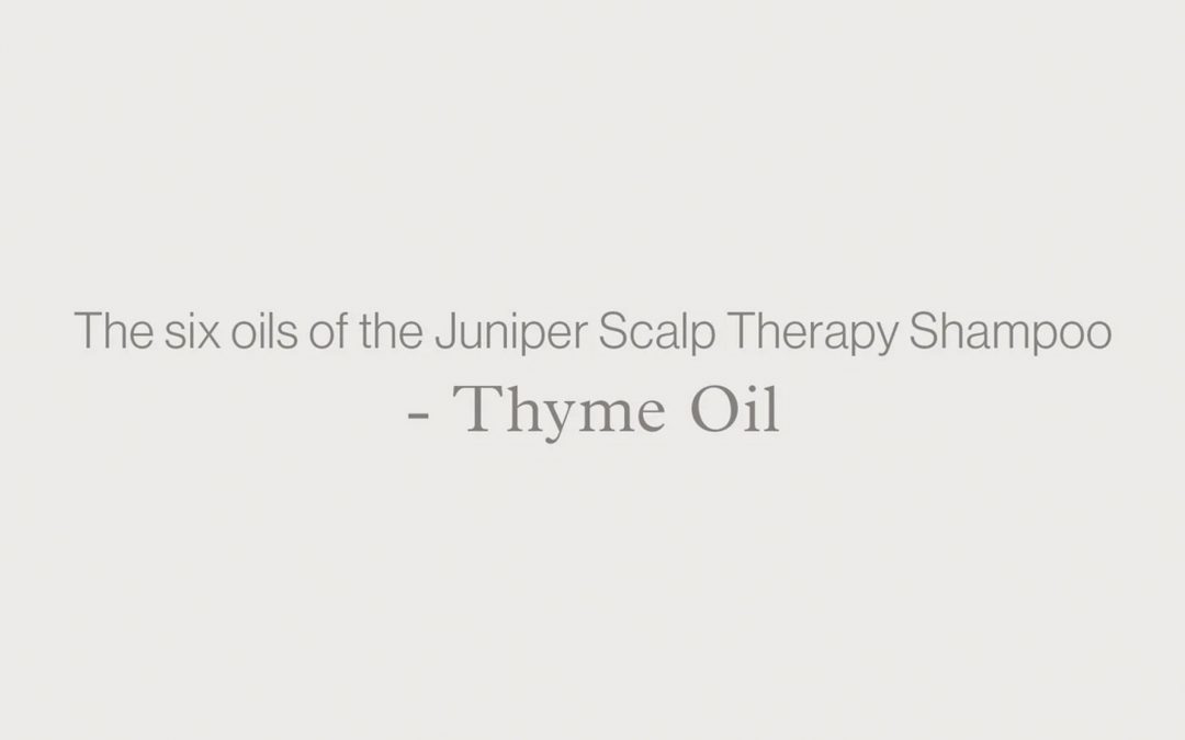 Blog banner: The six oils of the Juniper Scalp Therapy Shampoo - THYME OIL