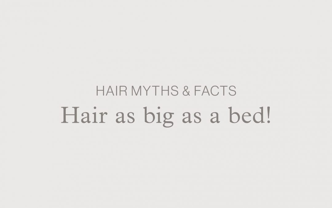 Blog Banner: Hair Myths & Facts - Hair as big as a bed!