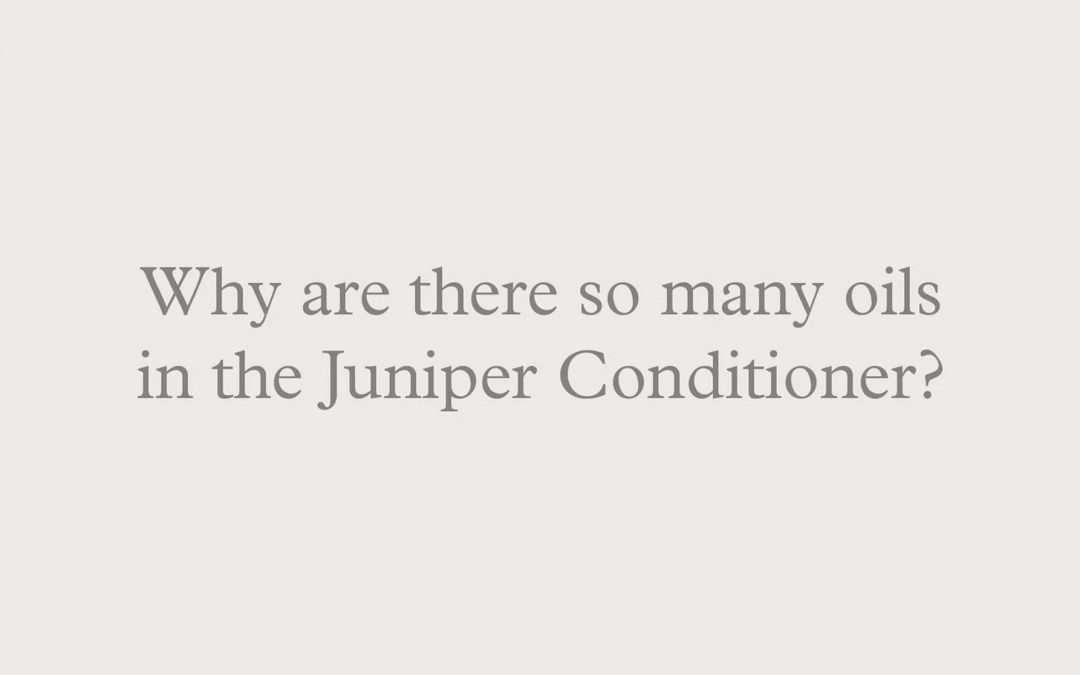 Blog banner: Why are there so many oils in the Juniper Conditioner?